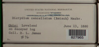 Image Associated With the Occurence